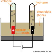 electrolysis and faradays law - Grade 4 - Quizizz