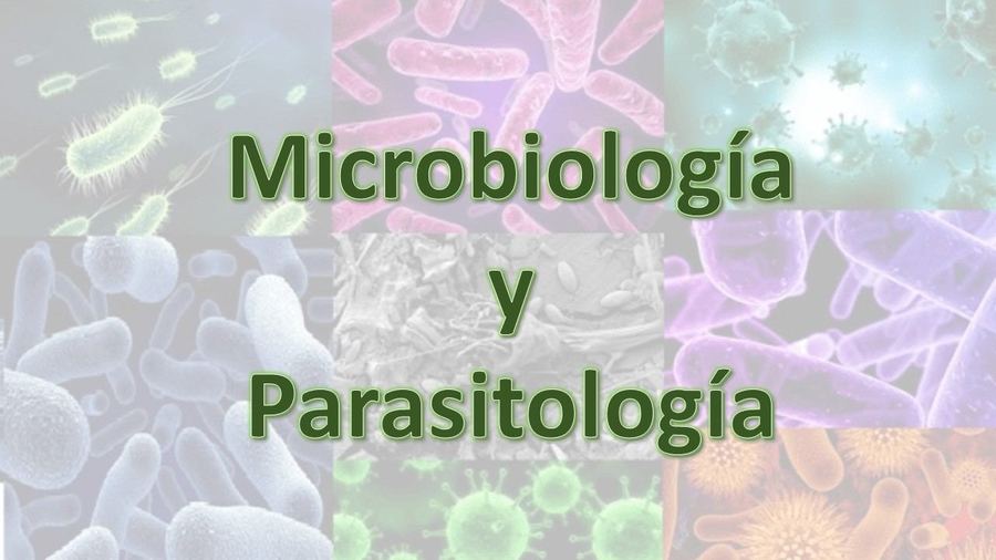 1ER EXAMEN PARCIAL DE MICROBIOLOGIA Y PARASITOLOGIA - Quizizz