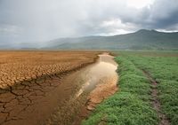 El clima mundial y el cambio climático. - Grado 5 - Quizizz