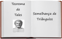 semelhança - Série 8 - Questionário