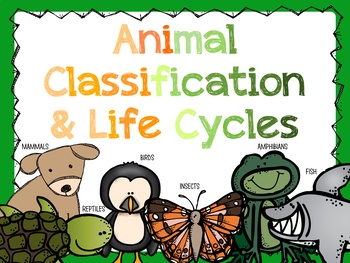 Life cycles of animals | Quizizz