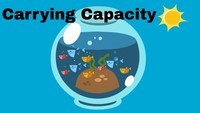 Measurement and Capacity - Year 9 - Quizizz