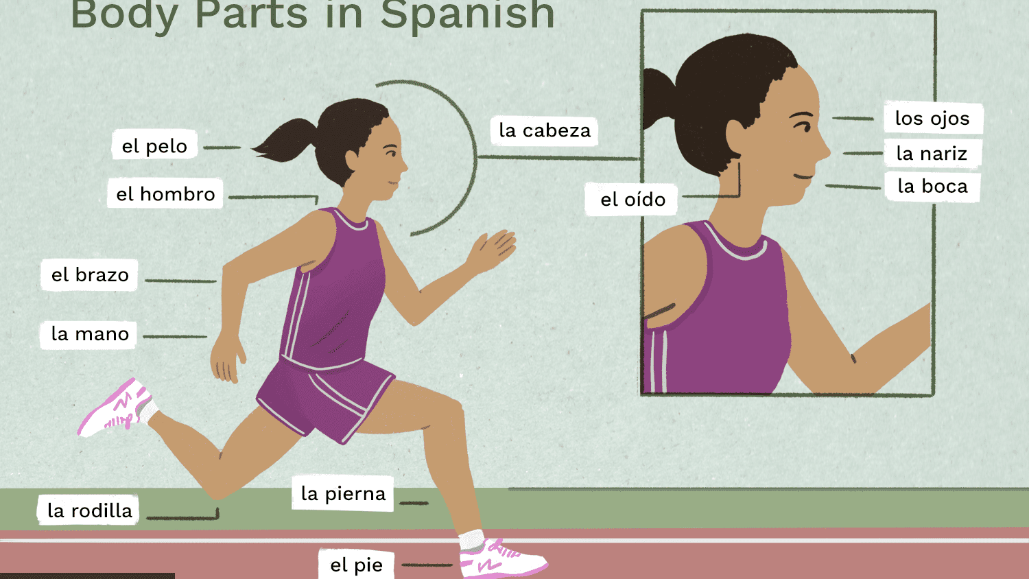 Spanish-English Flashcards - Quizizz