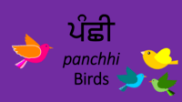 Punjabi Flashcards - Quizizz