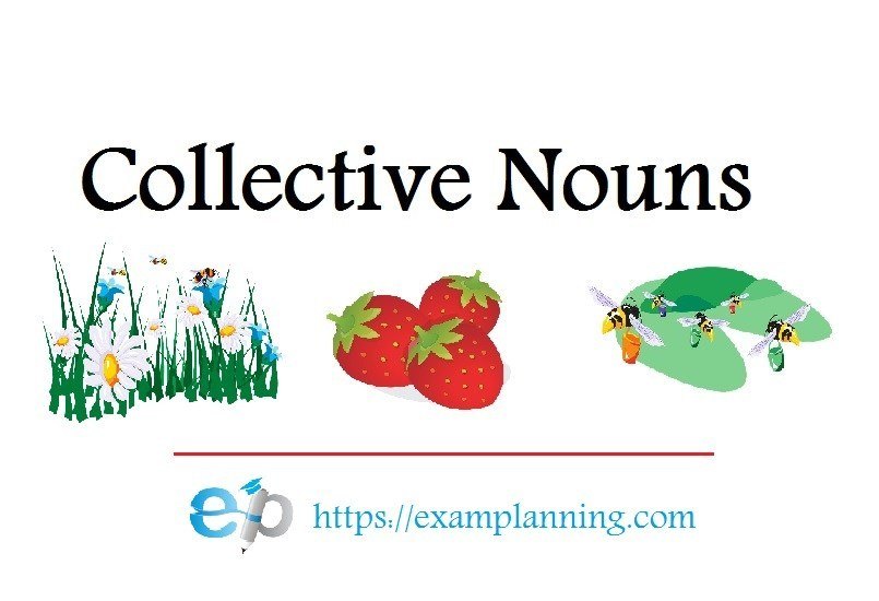 collective-nouns-grade-4-english-quiz-quizizz