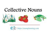 Collective Nouns Grade 4 English Quiz Quizizz