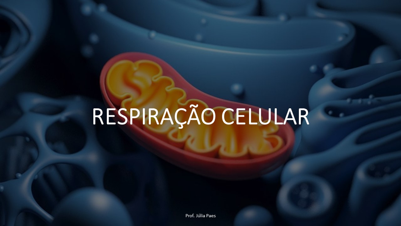 respiração celular - Série 12 - Questionário