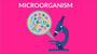 Helpful & Harmful Microorganisms