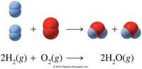 algebraic modeling Flashcards - Quizizz