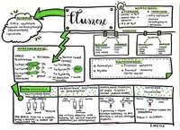 reakcje kwasowo-zasadowe - Klasa 3 - Quiz