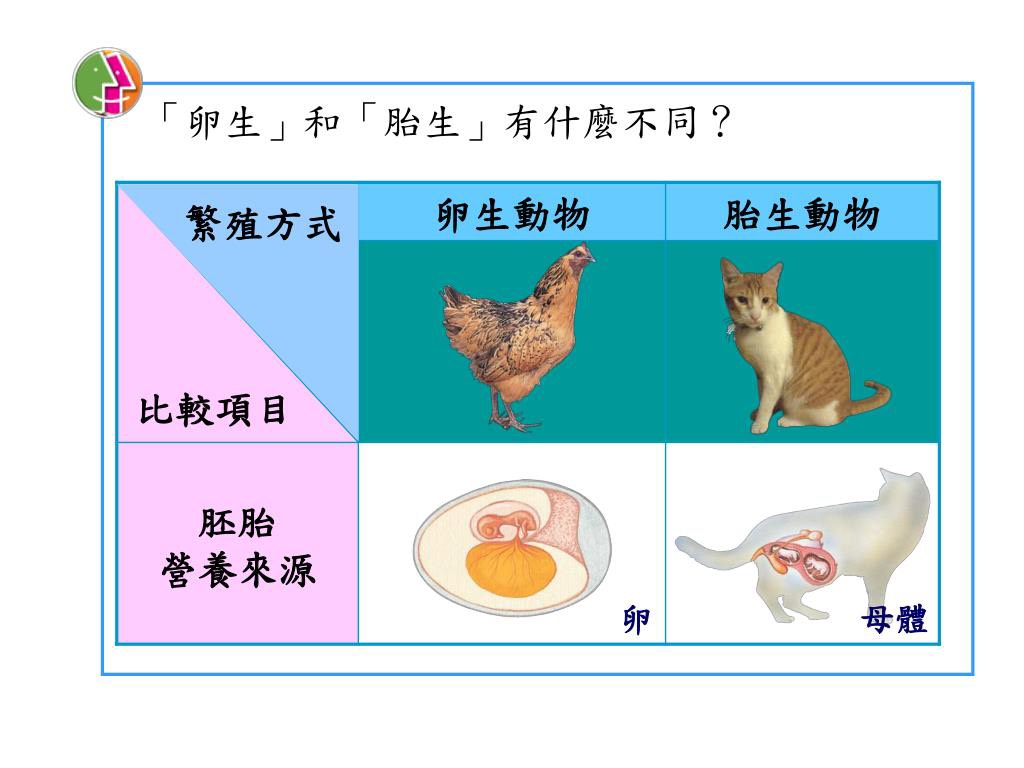 早い者勝ち‼️単眼 生物顕微鏡 ⑧ NDL-6 rupammindyog07.com