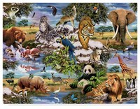 animal adaptations - Year 11 - Quizizz