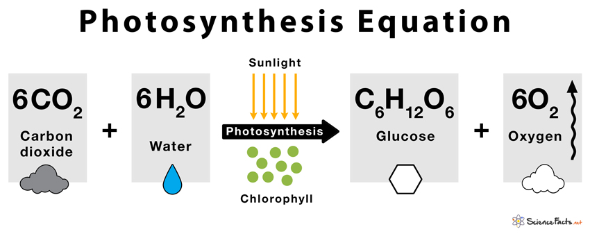 What Is Chemical Equation Easy Definition