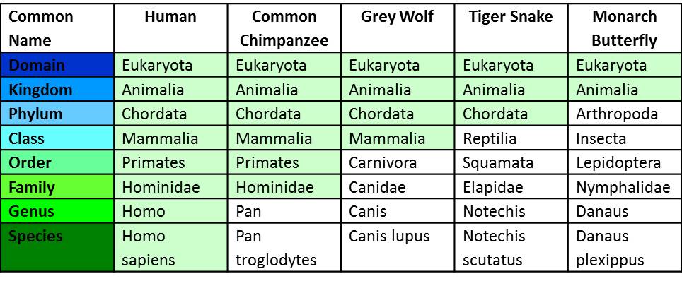 Unit 5.2 Test Review