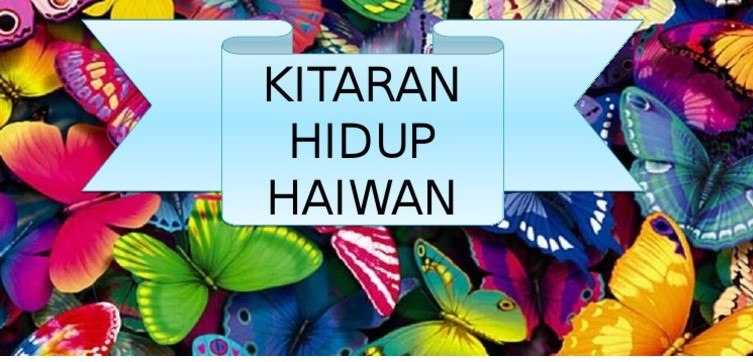 Kitaran hidup haiwan  Science Quiz - Quizizz