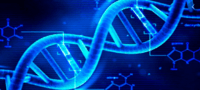 estrutura e replicação do DNA - Série 10 - Questionário