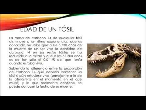 fósiles - Grado 7 - Quizizz