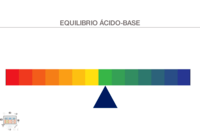 reacciones ácido-base - Grado 1 - Quizizz