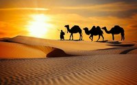 silk road Flashcards - Quizizz