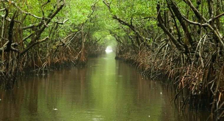 unit-8-lesson-4-landforms-in-florida-quizizz