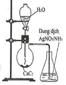 Âm thanh bắt đầu - Lớp 11 - Quizizz