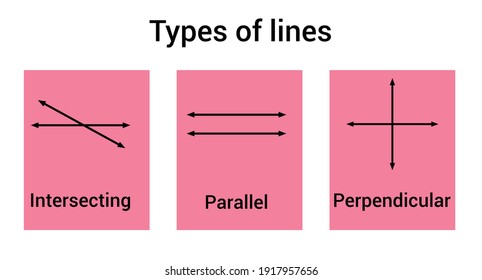 Lines - Class 5 - Quizizz