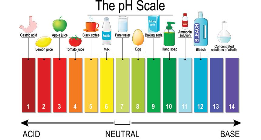 What Is The Ph Of Soap