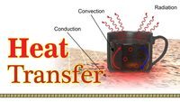 heat transfer and thermal equilibrium - Grade 10 - Quizizz