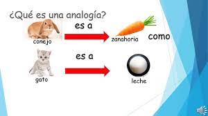 Analogías - Grado 3 - Quizizz