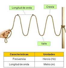 Cuerda de guitarra - Grado 11 - Quizizz