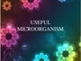 Useful Microorganisms