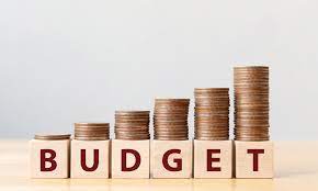 Budgeting Review | Business - Quizizz