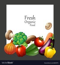 diagrama de células vegetales - Grado 3 - Quizizz