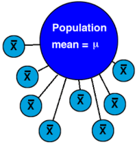 Propriedade Distributiva da Multiplicação - Série 11 - Questionário