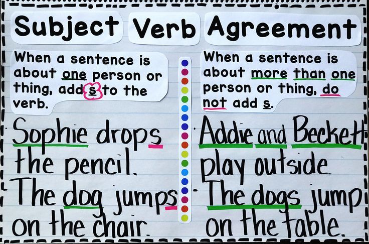 Pronoun-Antecedent Agreement - Year 2 - Quizizz