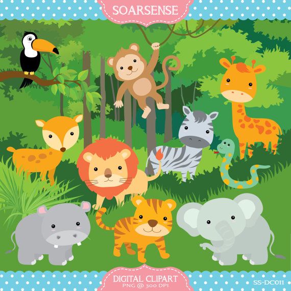 Zoo animals Spelling Quiz questions & answers for quizzes and ...