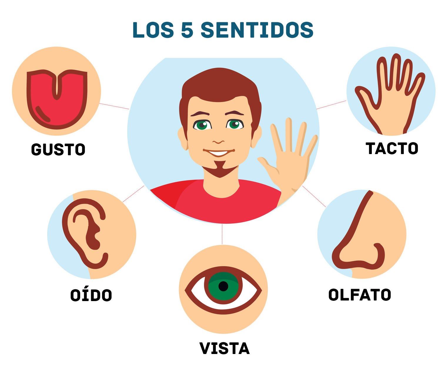 Presaberes Ciencias Naturales grado segundo | Quizizz