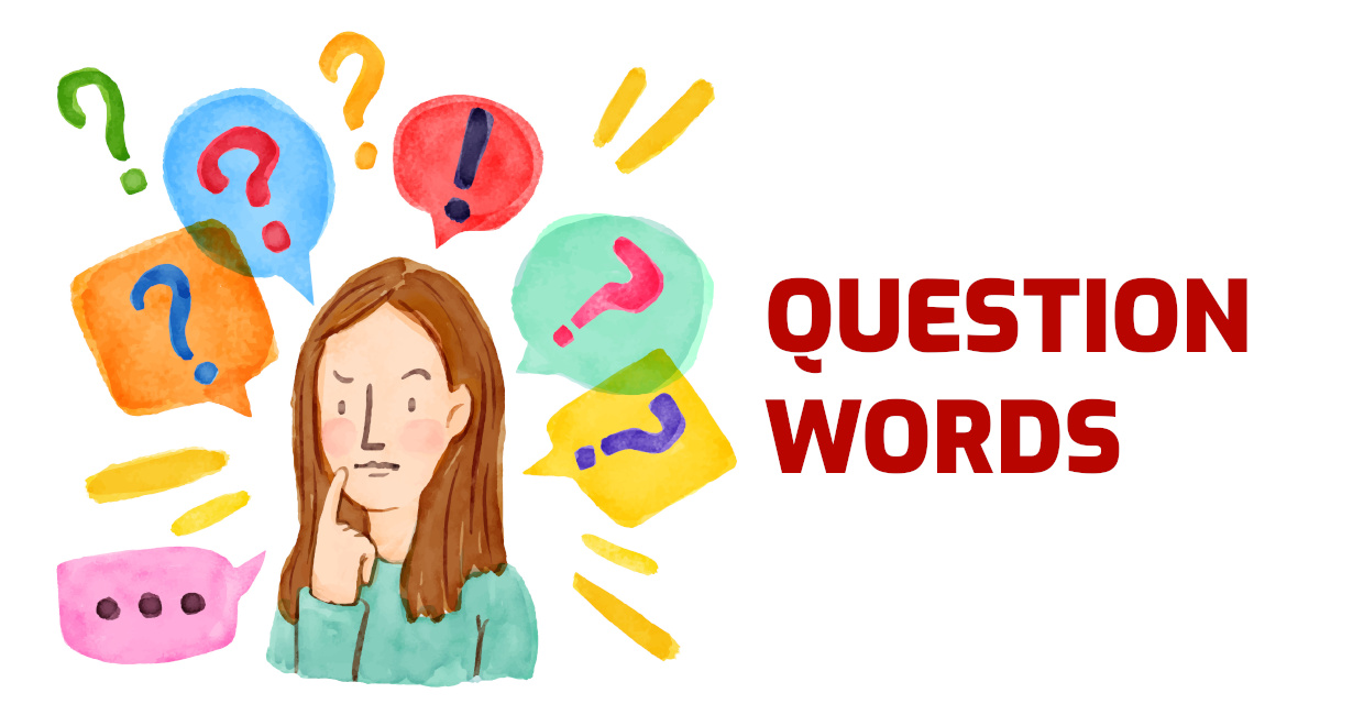 Who What When Where Why Questions Flashcards - Quizizz