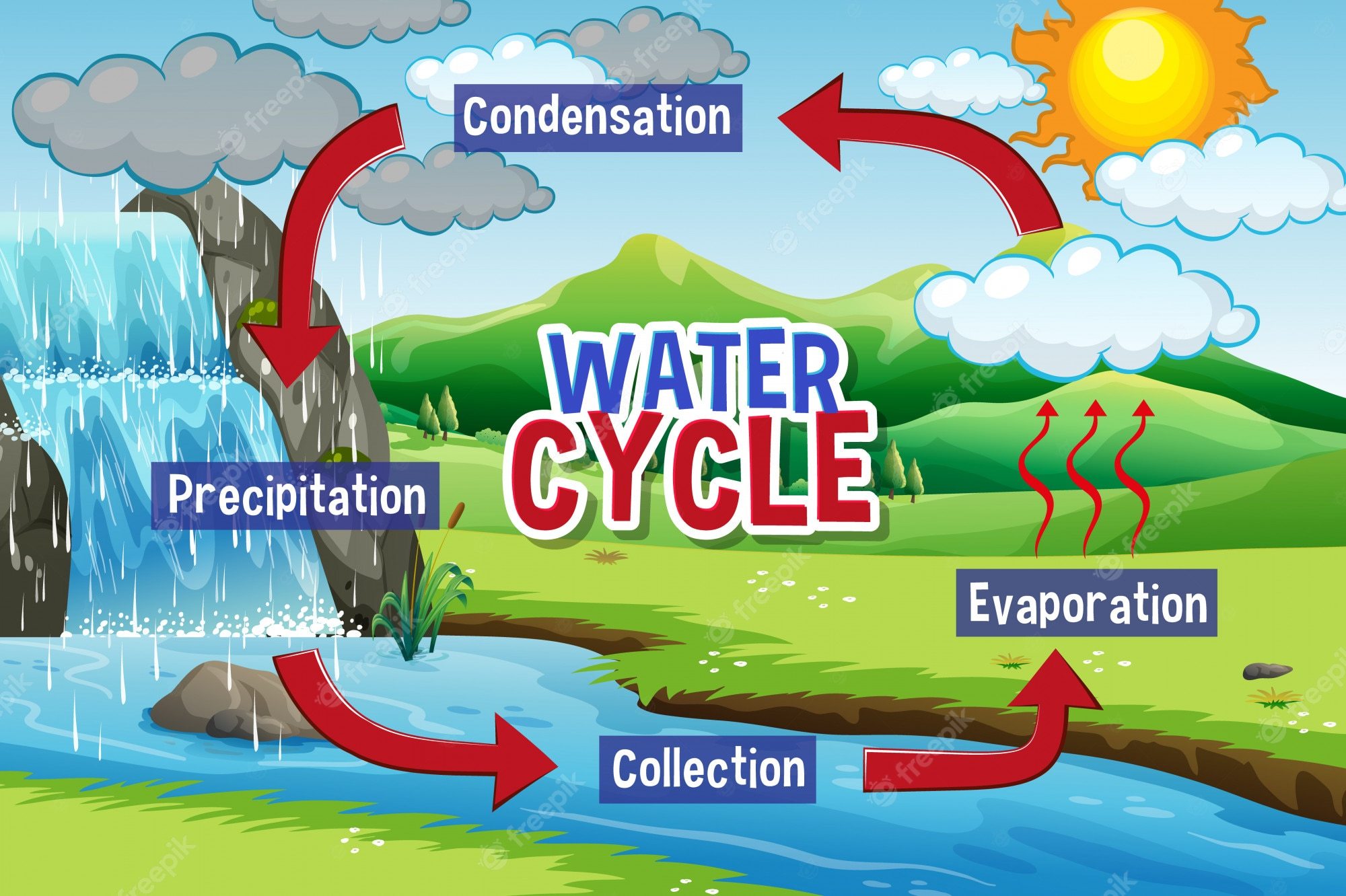 Water Cycle