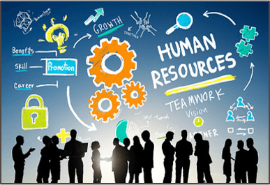 Human Resources Management for Entrepreneurs | 265 plays | Quizizz