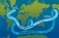 movements of ocean water - Class 11 - Quizizz