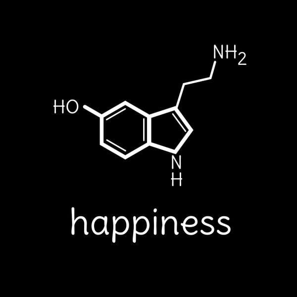 chemical equilibrium - Class 2 - Quizizz