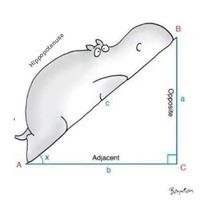 segundas derivadas de funciones trigonométricas - Grado 8 - Quizizz