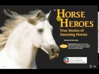 herons formula - Grade 4 - Quizizz