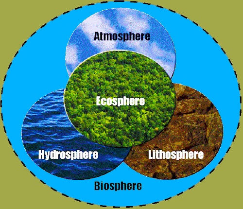 the-biosphere-ecosystems-biomes-other-quiz-quizizz