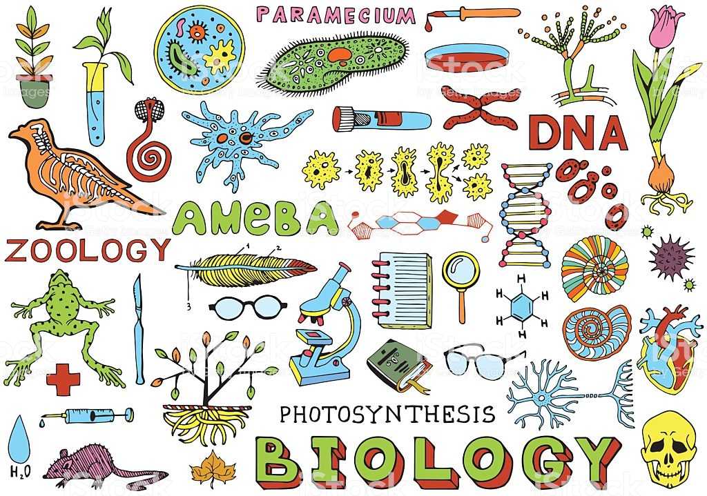 biologi tanaman - Kelas 3 - Kuis