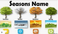 seasons - Year 9 - Quizizz