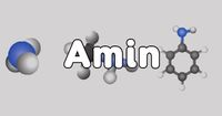 Amino Acids Flashcards - Quizizz