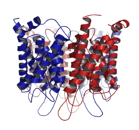 Amino Acids - Class 12 - Quizizz