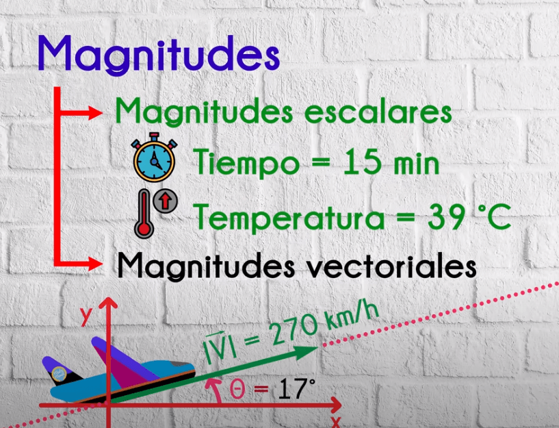 vectores - Grado 10 - Quizizz